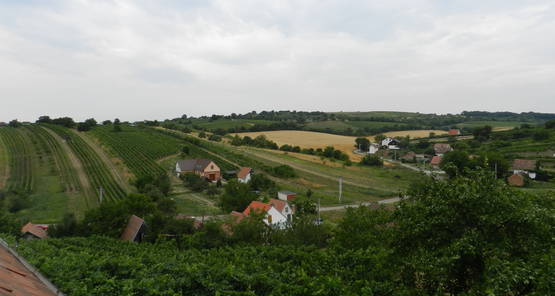 Pod Dubňansků horů 1